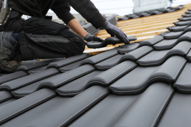 Best Roof Ventilation Installation  in Crookston, MN